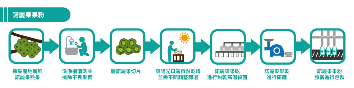 諾麗果果粉製程示意圖