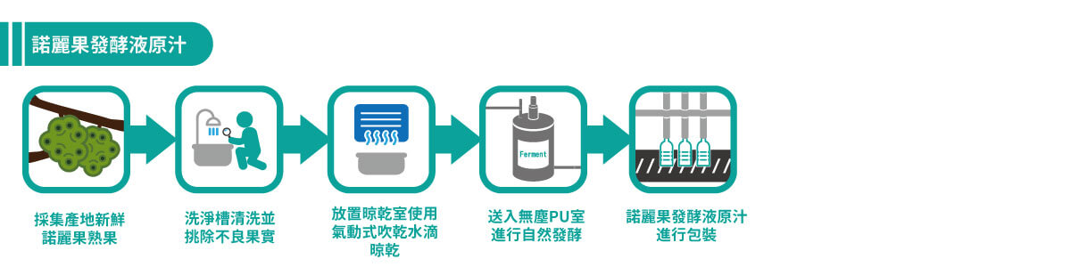 諾麗果發酵液(諾麗果酵素液) 製程示意圖